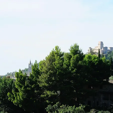 Colle Degli Olivi-2